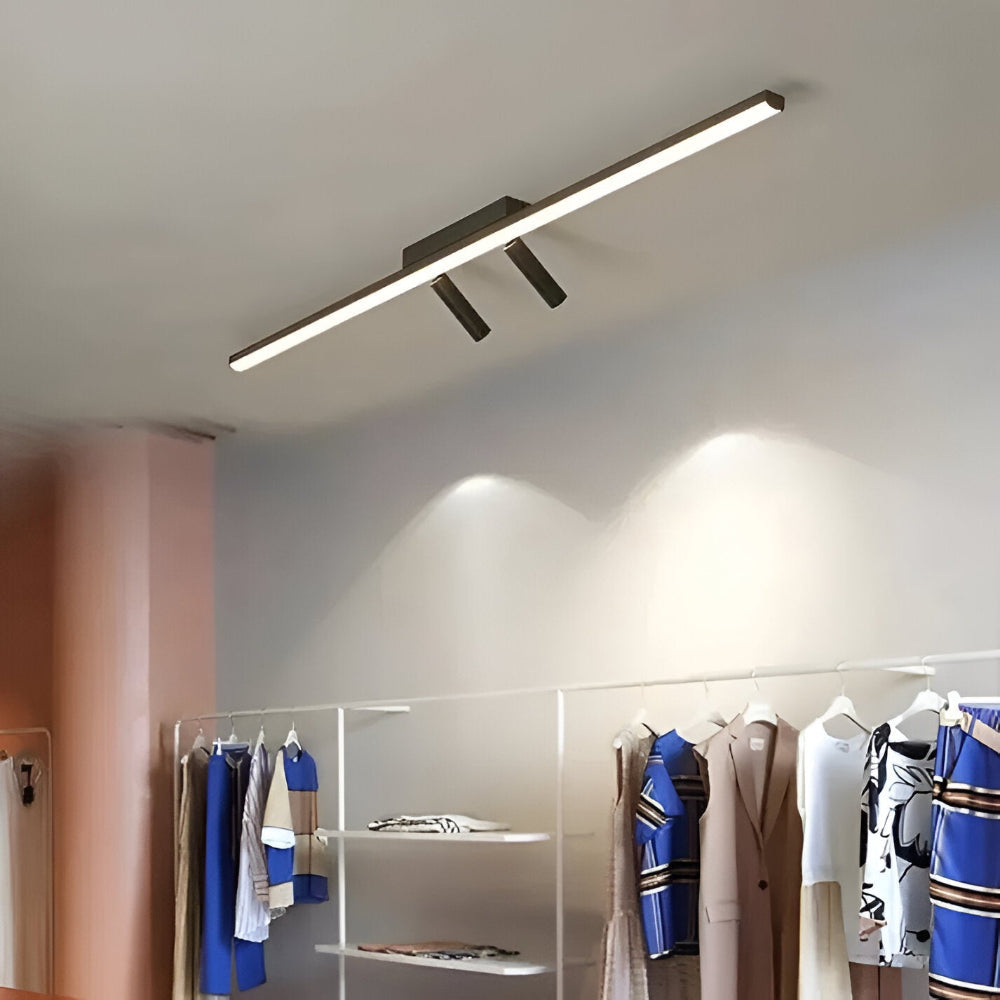 Acanthus Spotlight
