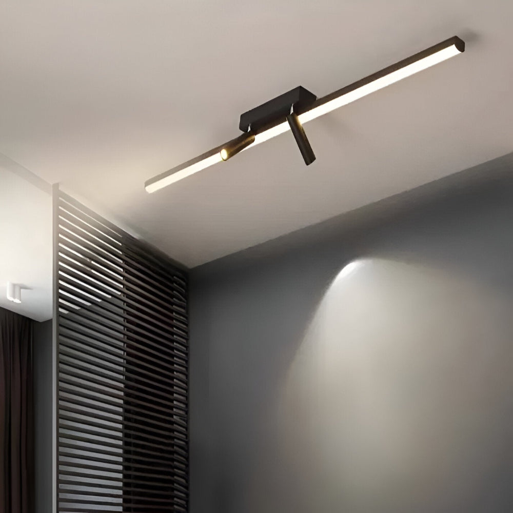 Acanthus Spotlight