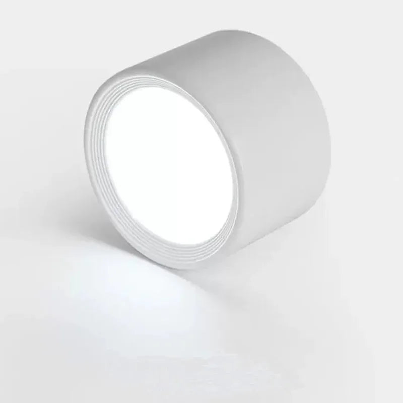 Wynard Surface Mounted Downlight