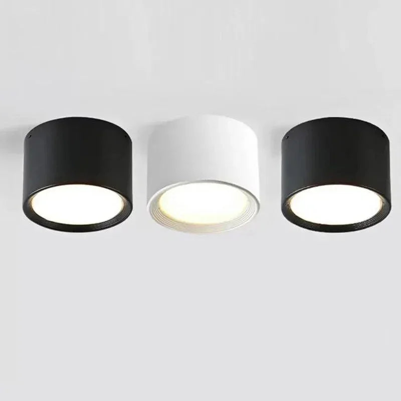 Wynard Surface Mounted Downlight