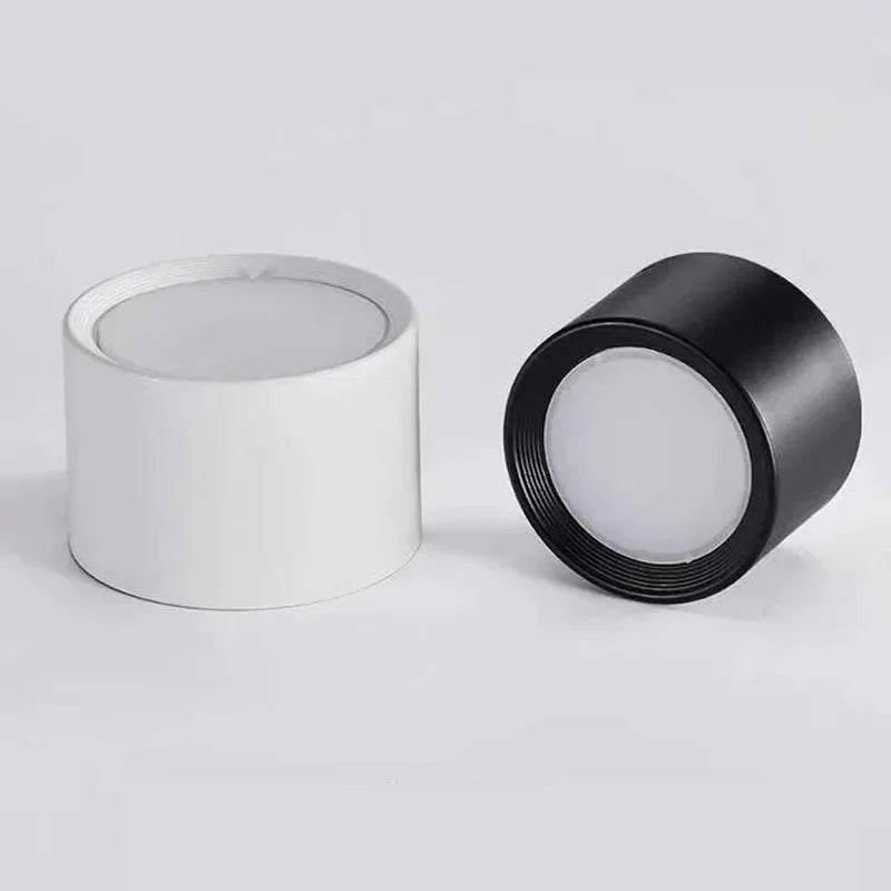 Wynard Surface Mounted Downlight