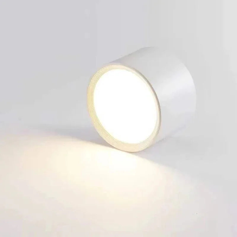 Wynard Surface Mounted Downlight