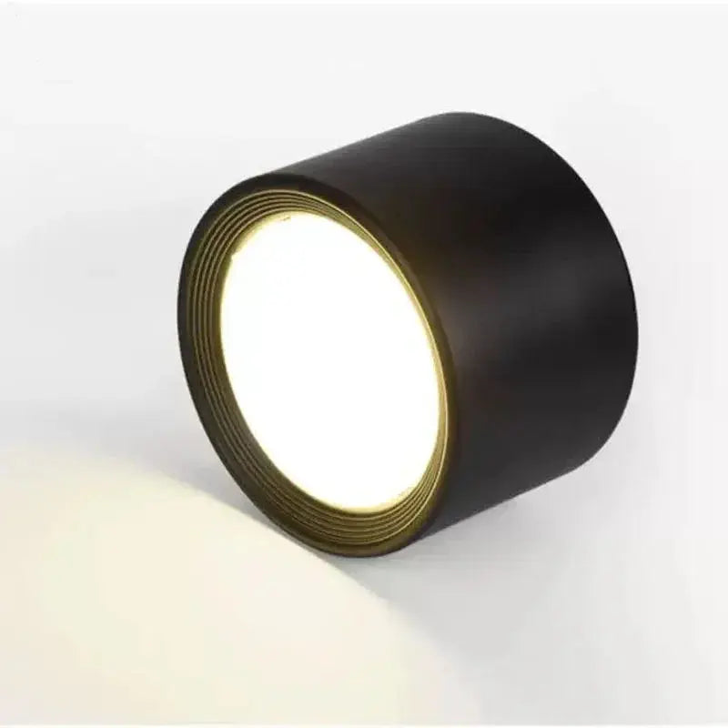Wynard Surface Mounted Downlight Alvara