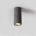 Surry Ceiling Mounted Spotlight