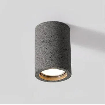 Surry Ceiling Mounted Spotlight