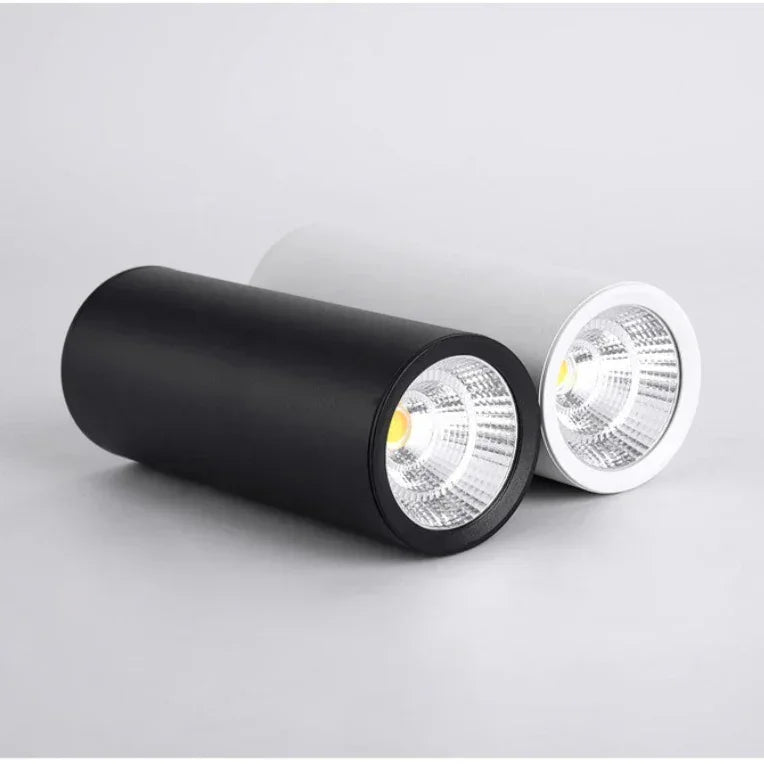 Porto Surface Mounted Downlight