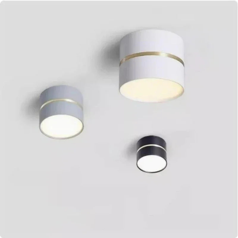 Mosman LED Downlight