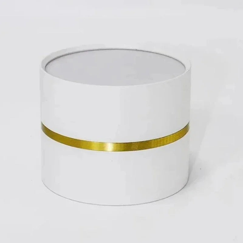Mosman LED Downlight