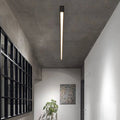 Vero Ceiling Light