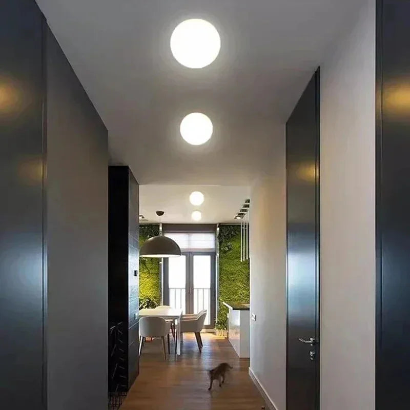 Calix Ceiling Light