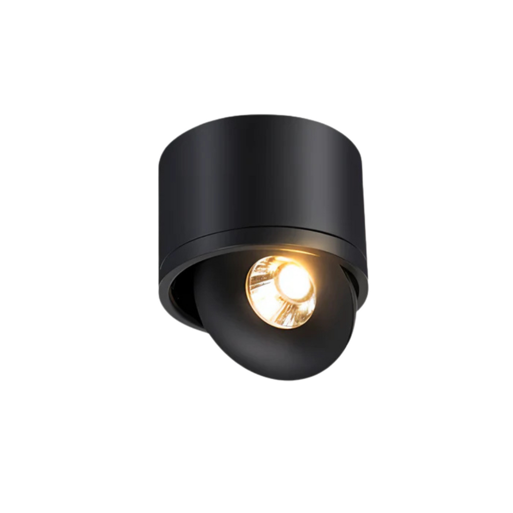 Gannet LED Ceiling Lamp