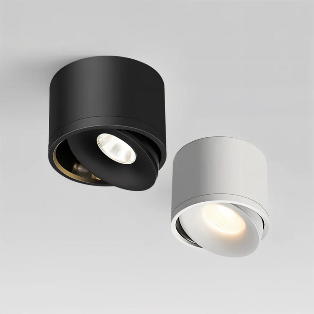 Gannet LED Ceiling Lamp