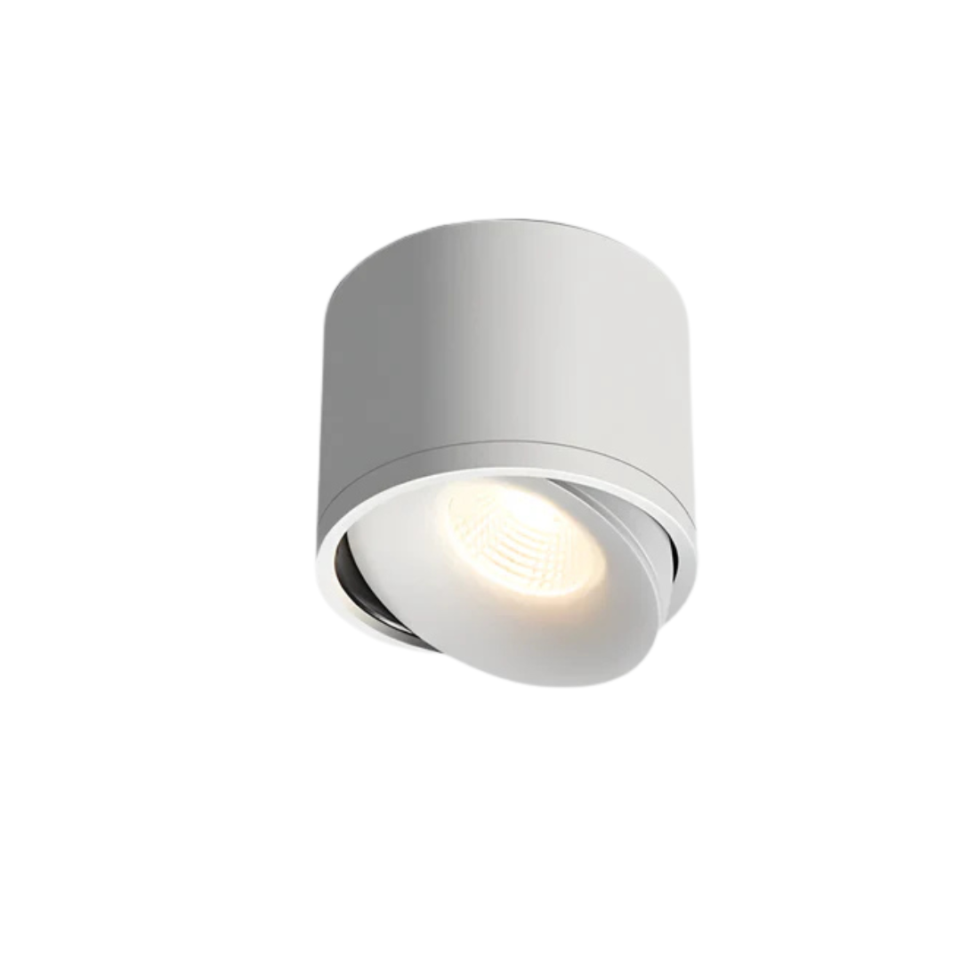 Gannet LED Ceiling Lamp