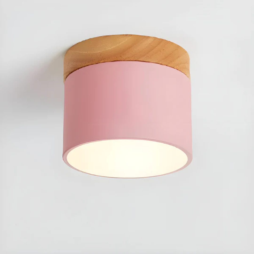 Bawley Vintage LED Downlight