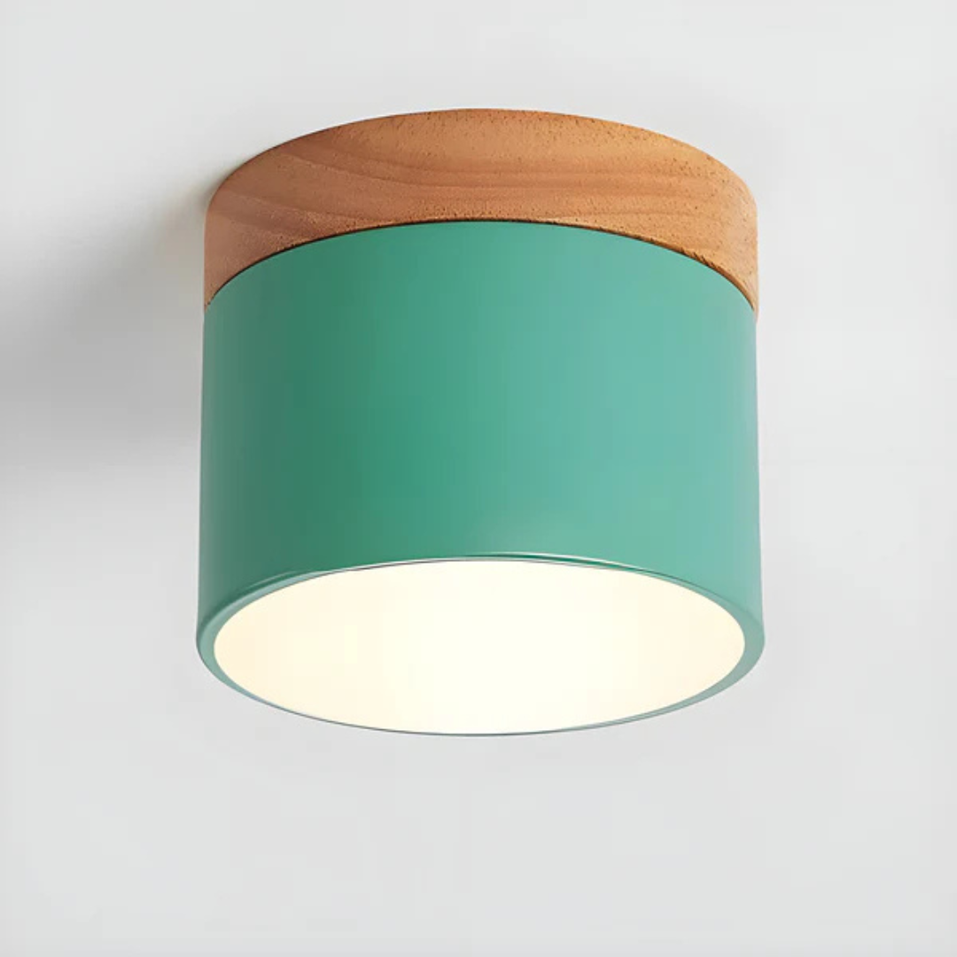 Bawley Vintage LED Downlight