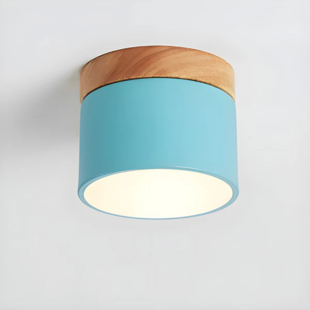 Bawley Vintage LED Downlight