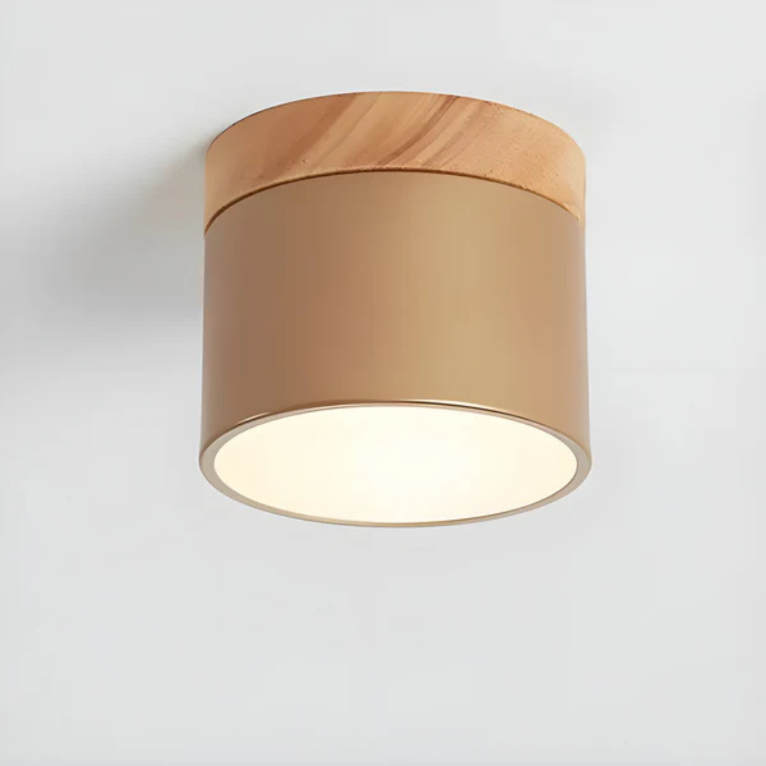Bawley Vintage LED Downlight