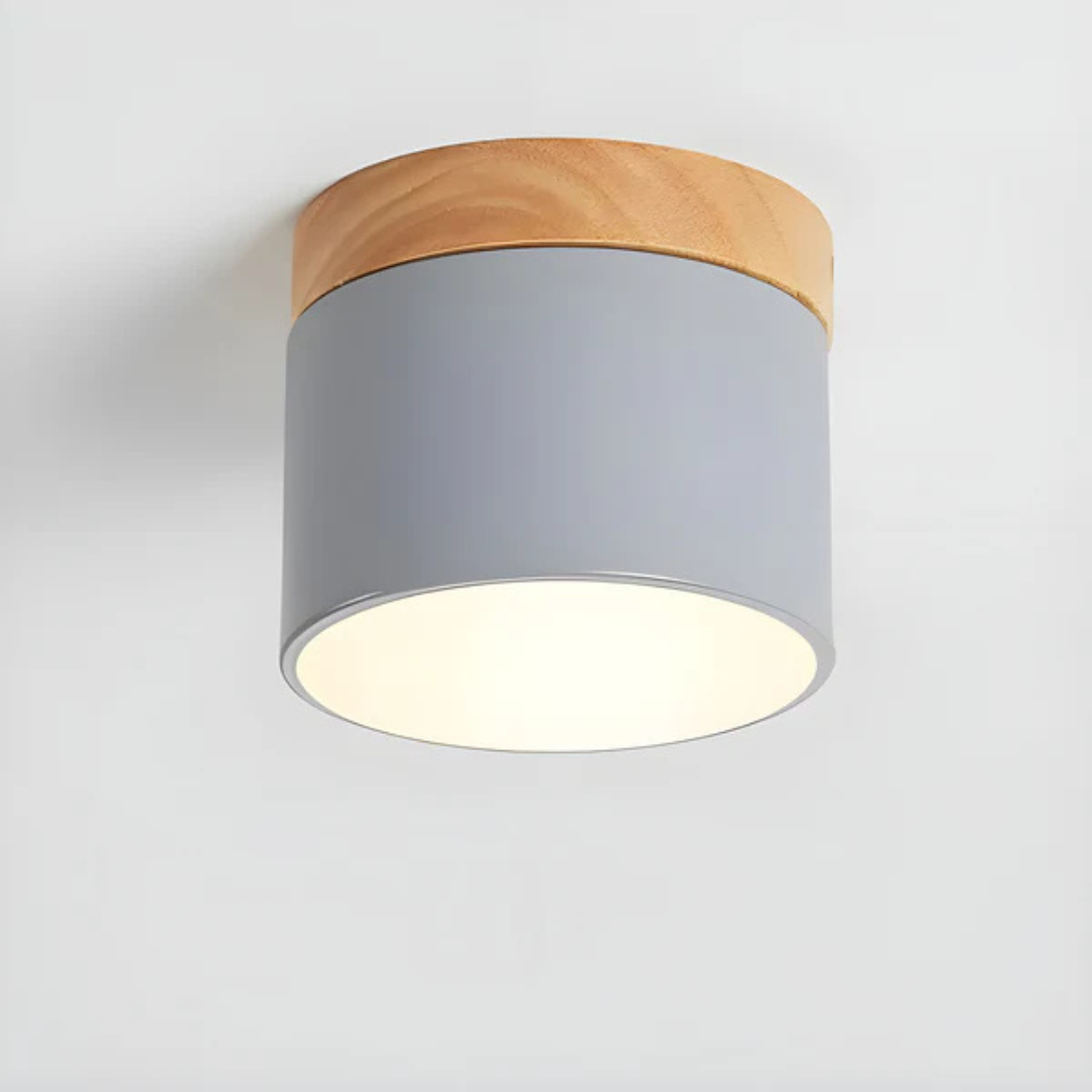 Bawley Vintage LED Downlight