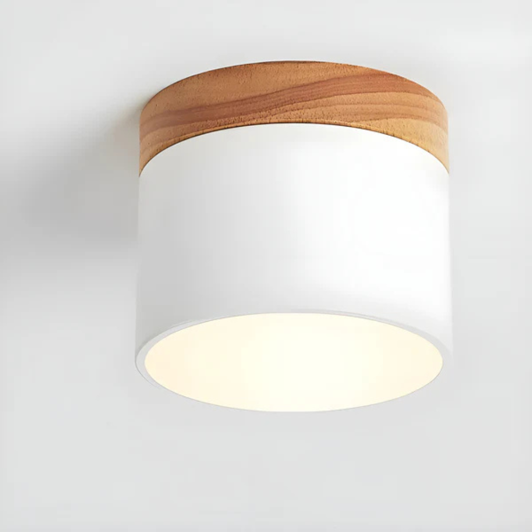 Bawley Vintage LED Downlight