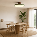 Bermi Adjustable LED Ceiling Light