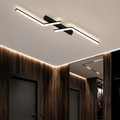 Elora Ceiling Light